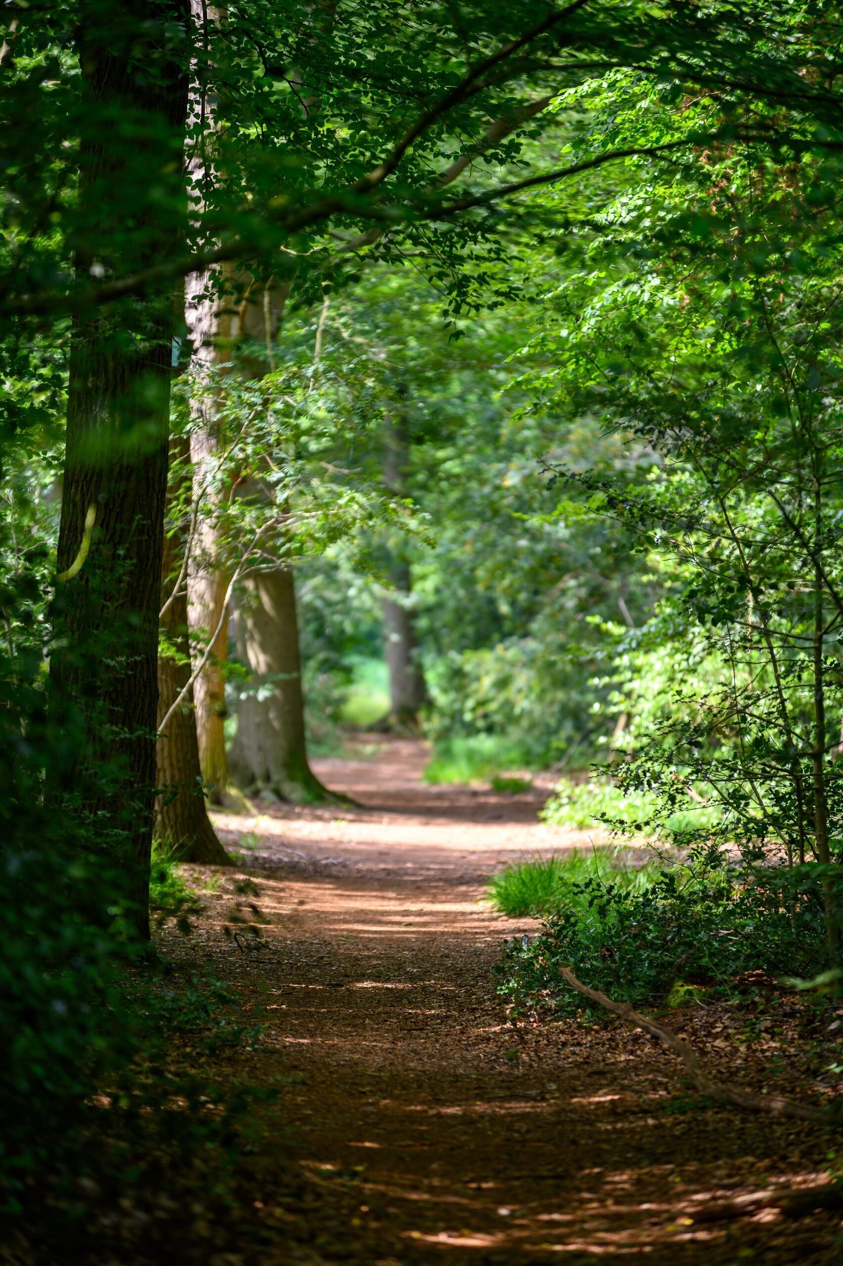 Bert Bos hiking trail