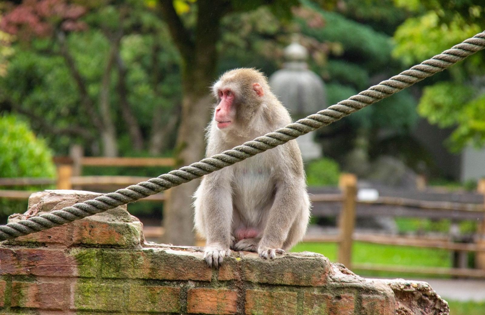 Amersfoort Zoo