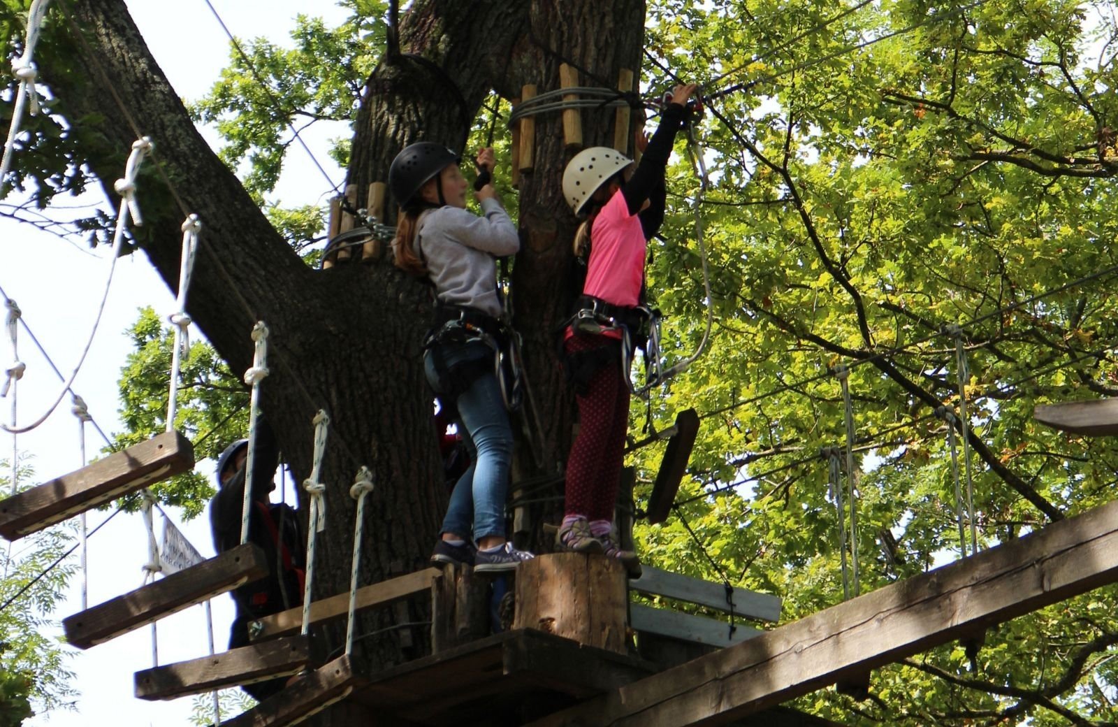 Climbing Forest Gooi-Eemland