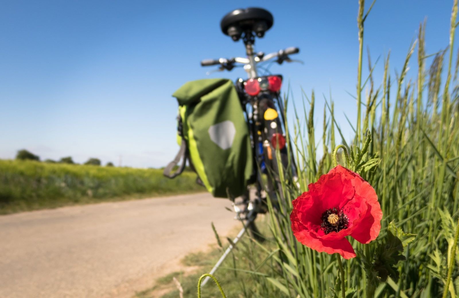 Discover Lage Vuursche near Camping Egelshoek